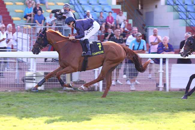 Photo d'arrivée de la course pmu PRIX DES BORDS DE L'ARONDE à COMPIEGNE le Mardi 15 septembre 2026