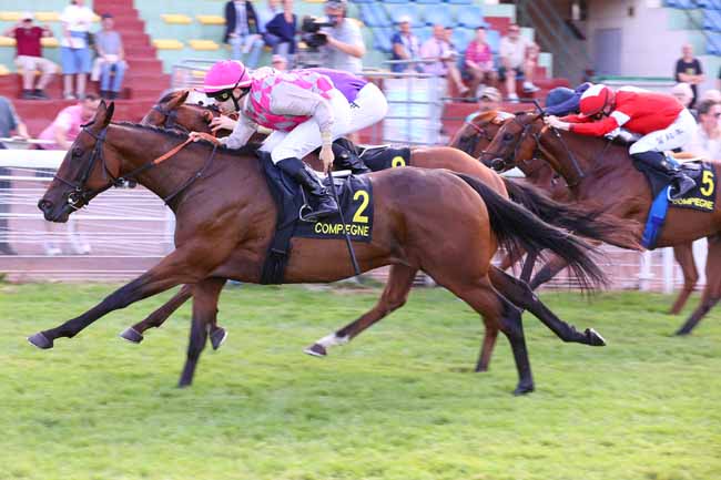Photo d'arrivée de la course pmu PRIX DES BORDS DE L'AISNE à COMPIEGNE le Mardi 15 septembre 2026