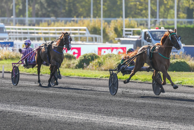 Photo d'arrivée de la course pmu PRIX ALUDRA à PARIS-VINCENNES le Mardi 15 septembre 2026