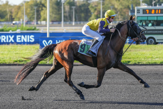 Photo d'arrivée de la course pmu PRIX ENIS à PARIS-VINCENNES le Mardi 15 septembre 2026