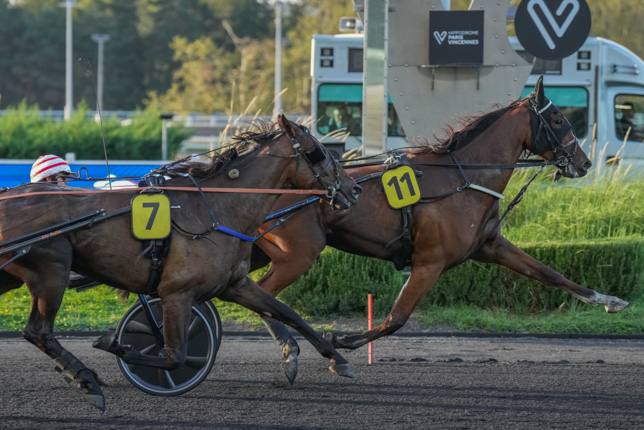 Photo d'arrivée de la course pmu PRIX DE BAZET à PARIS-VINCENNES le Mardi 15 septembre 2026
