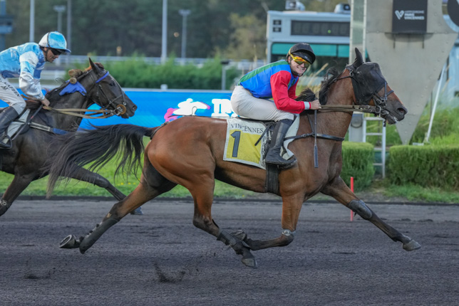 Photo d'arrivée de la course pmu PRIX GOBERTA à PARIS-VINCENNES le Mardi 15 septembre 2026