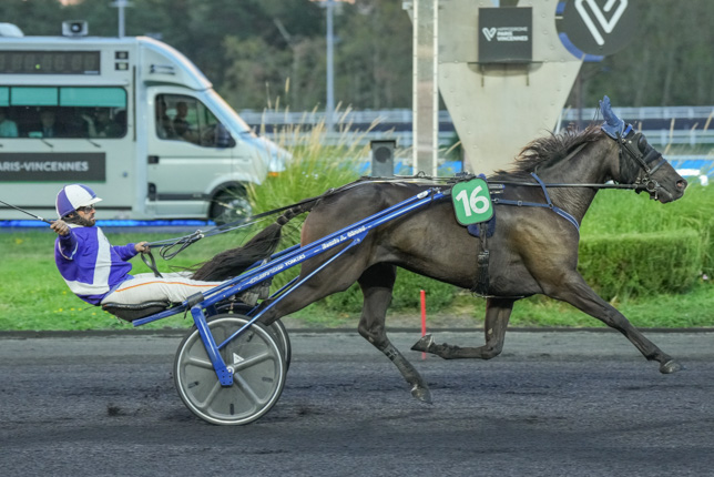 Photo d'arrivée de la course pmu PRIX SAGITTA à PARIS-VINCENNES le Mardi 15 septembre 2026