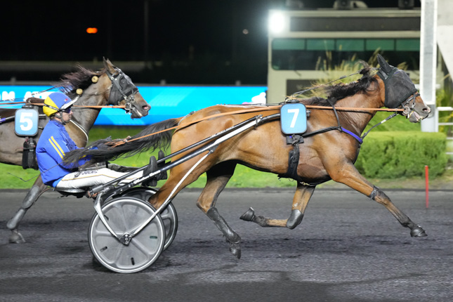 Photo d'arrivée de la course pmu PRIX DE BEAUCAIRE à PARIS-VINCENNES le Mardi 15 septembre 2026