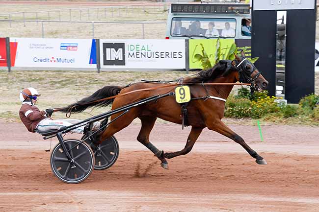 Arrivée quinté pmu PRIX PALLANCHE CONSTRUCTIONS à FEURS