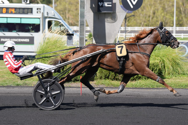Arrivée quinté pmu PRIX DE MEHUN-SUR-YEVRE à PARIS-VINCENNES