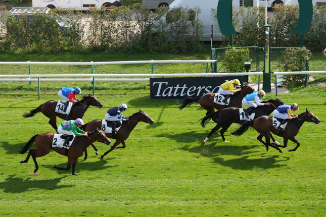 Arrivée quinté pmu PRIX DU CABINET DES LIVRES à CHANTILLY