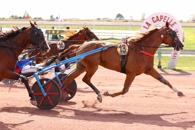 Arrivée quinté pmu PRIX COM DE COM THIERACHE DU CENTRE à LA CAPELLE