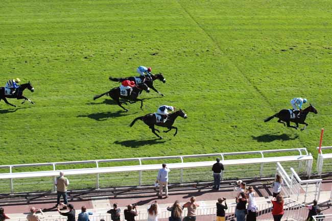 Arrivée quinté pmu PRIX CALABRAIS à AUTEUIL
