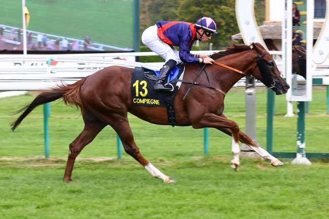 Arrivée quinté pmu PRIX DE LA BASSE AUTOMNE à COMPIEGNE