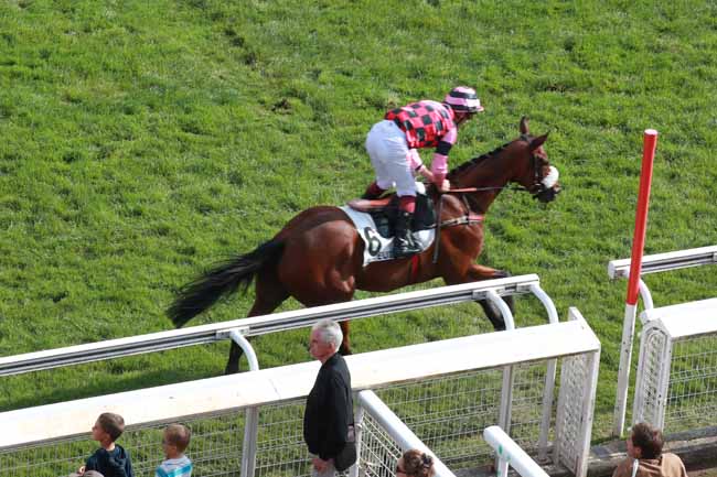 Arrivée quinté pmu PRIX GRANDLIEU à AUTEUIL