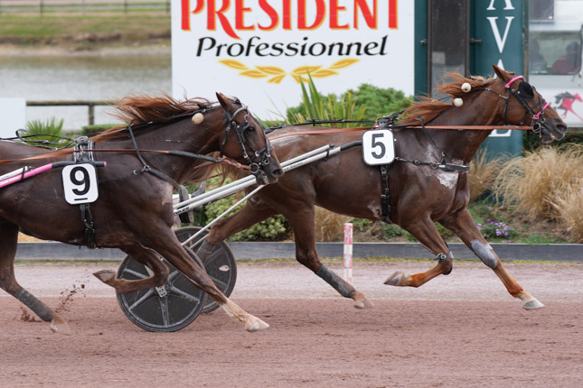 Arrivée quinté pmu GRAND PRIX ANJOU-MAINE à LAVAL