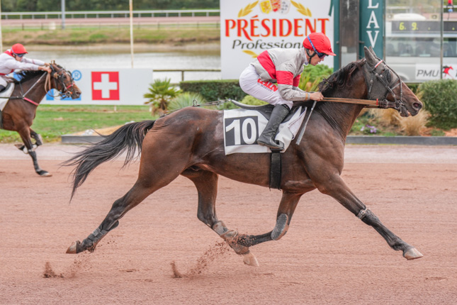 Photo d'arrivée de la course pmu PRIX TIEGO D'ETANG à LAVAL le Mercredi 30 septembre 2026