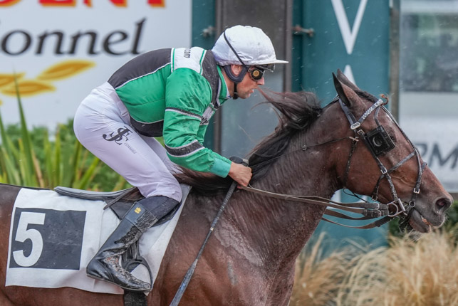 Photo d'arrivée de la course pmu PRIX ALPHA SALTOR à LAVAL le Mercredi 30 septembre 2026