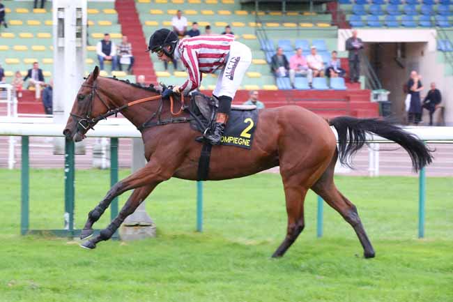 Photo d'arrivée de la course pmu STEEPLE - CHASE DU DEBUT à COMPIEGNE le Mercredi 30 septembre 2026