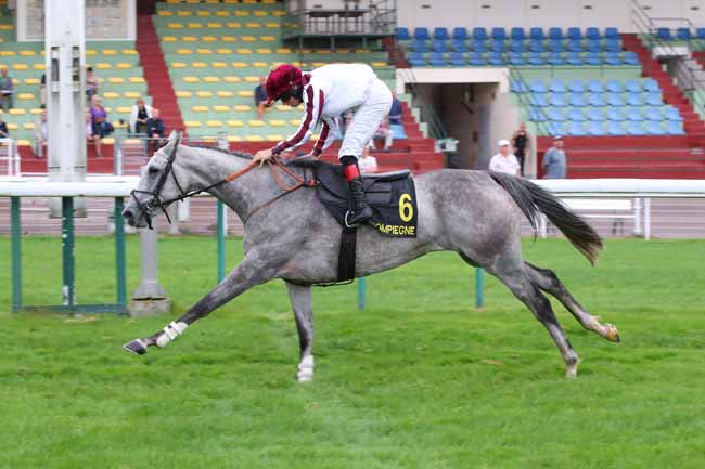 Photo d'arrivée de la course pmu PRIX DE SALERS à COMPIEGNE le Mercredi 30 septembre 2026