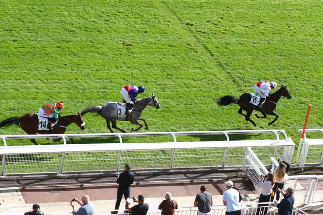 Arrivée quinté pmu PRIX CEREALISTE à AUTEUIL