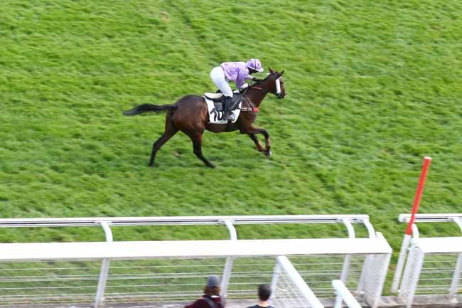 Photo d'arrivée de la course pmu PRIX VIVIENNE (CHAMPIONNAT 