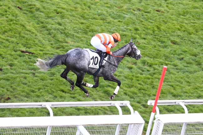 Photo d'arrivée de la course pmu PRIX MARITTIMO à AUTEUIL le Jeudi 1 octobre 2026