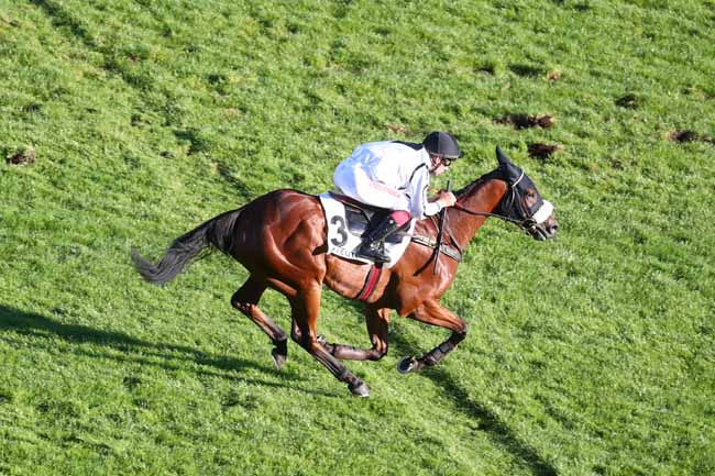 Photo d'arrivée de la course pmu PRIX JULIEN DECRION à AUTEUIL le Jeudi 1 octobre 2026