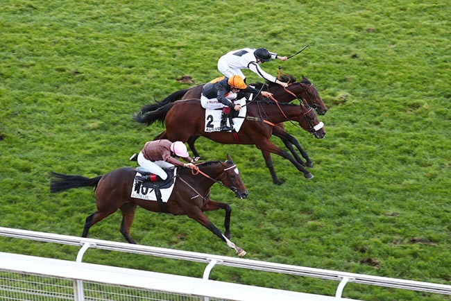 Photo d'arrivée de la course pmu PRIX ROYAL JUNIOR à AUTEUIL le Jeudi 1 octobre 2026