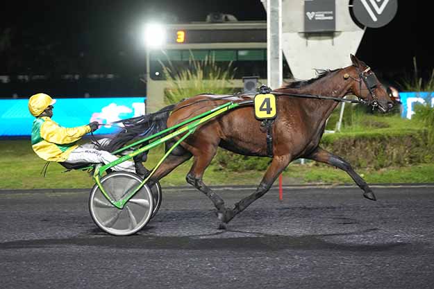 Arrivée quinté pmu PRIX LUDOVICA à PARIS-VINCENNES