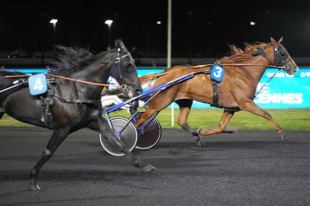 Photo d'arrivée de la course pmu PRIX ELIANE DE BELLAIGUE à PARIS-VINCENNES le Vendredi 2 octobre 2026