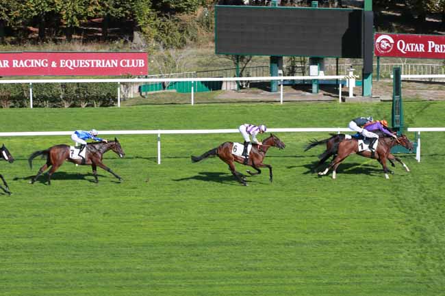 Photo d'arrivée de la course pmu PRIX SOYA à SAINT CLOUD le Vendredi 2 octobre 2026