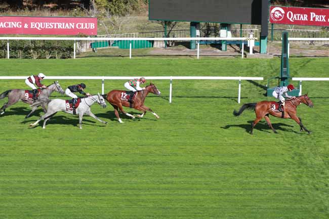 Photo d'arrivée de la course pmu QATAR ARABIAN TROPHY DES POULICHES à SAINT CLOUD le Vendredi 2 octobre 2026