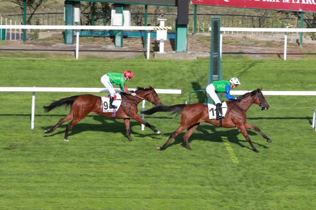 Photo d'arrivée de la course pmu PRIX DAHLIA à SAINT CLOUD le Vendredi 2 octobre 2026