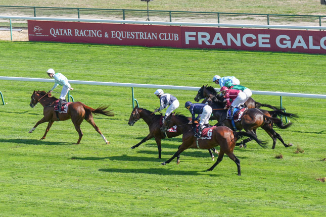 Photo d'arrivée de la course pmu QATAR PRIX CHAUDENAY à LONGCHAMP le Samedi 3 octobre 2026