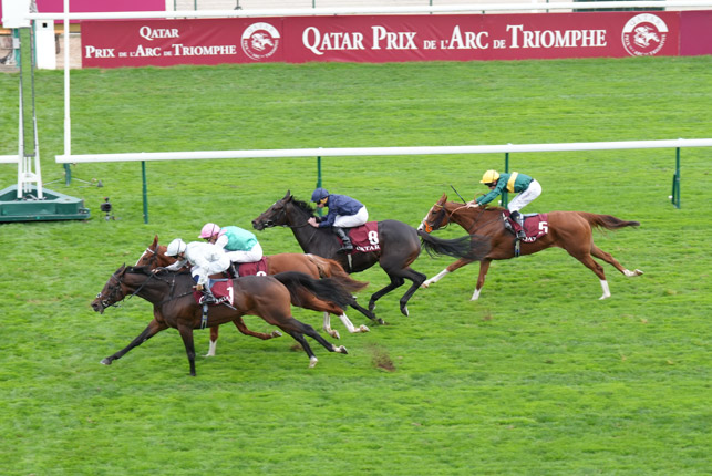 Photo d'arrivée de la course pmu QATAR PRIX DE ROYALLIEU à LONGCHAMP le Samedi 3 octobre 2026