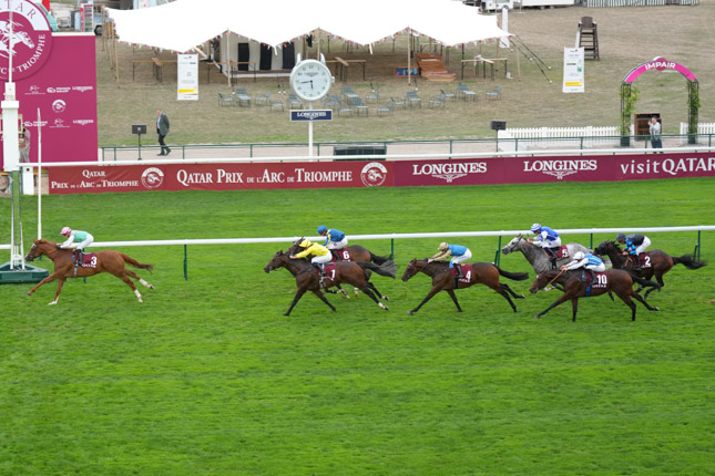 Photo d'arrivée de la course pmu QATAR PRIX DANIEL WILDENSTEIN à LONGCHAMP le Samedi 3 octobre 2026