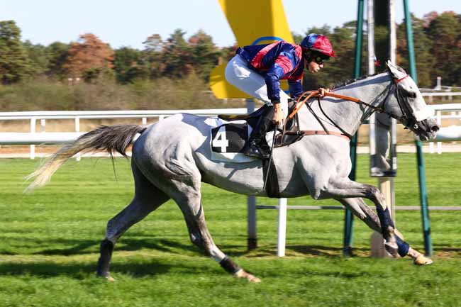 Photo d'arrivée de la course pmu PRIX DE L'ECOLE MILITAIRE D'EQUITATION à FONTAINEBLEAU le Samedi 3 octobre 2026