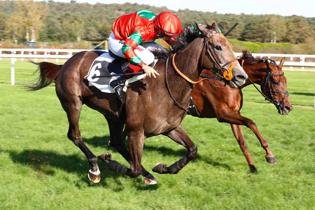 Photo d'arrivée de la course pmu PRIX DE L'ASSOCIATION DES AMIS DU MUSEE DU CHEVAL MILITAIRE à FONTAINEBLEAU le Samedi 3 octobre 2026