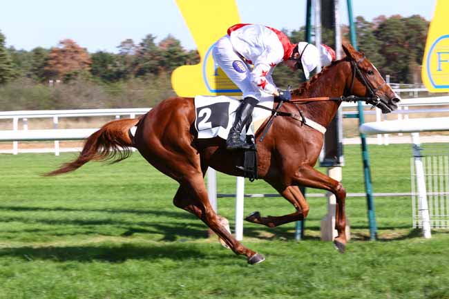 Photo d'arrivée de la course pmu PRIX DU CARREFOUR DE L'OBELISQUE à FONTAINEBLEAU le Samedi 3 octobre 2026