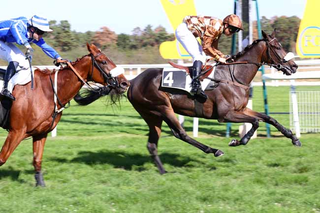 Photo d'arrivée de la course pmu PRIX PIERRE DEBROISE à FONTAINEBLEAU le Samedi 3 octobre 2026