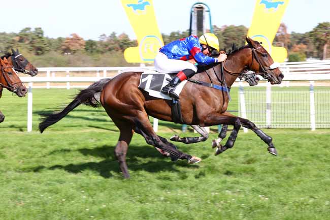 Photo d'arrivée de la course pmu PRIX DE LA TABLE DU ROI à FONTAINEBLEAU le Samedi 3 octobre 2026