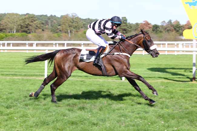 Photo d'arrivée de la course pmu PRIX D'AMIENS à FONTAINEBLEAU le Samedi 3 octobre 2026