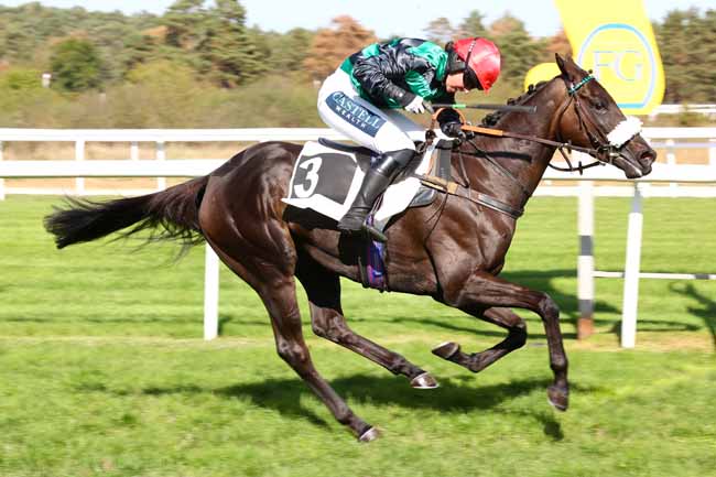 Photo d'arrivée de la course pmu PRIX EXPOSITION PAUL TAVERNIER à FONTAINEBLEAU le Samedi 3 octobre 2026