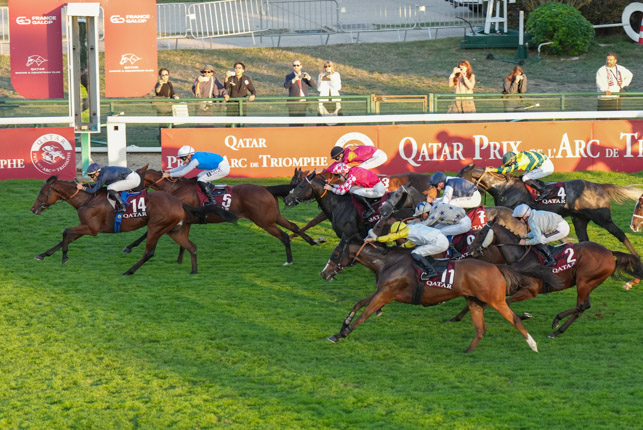 Photo d'arrivée de la course pmu QATAR PRIX DU FESTIVAL DES NATIONS à LONGCHAMP le Dimanche 4 octobre 2026