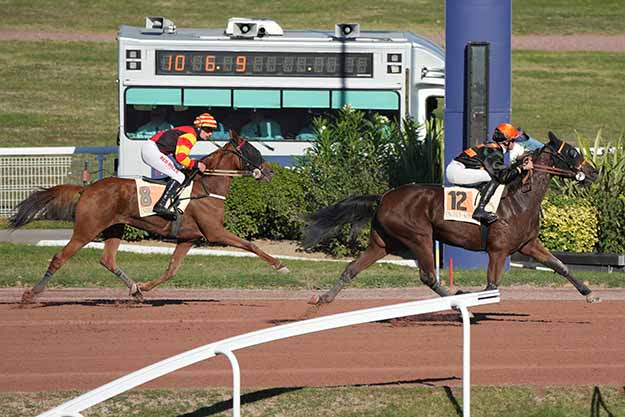 Photo d'arrivée de la course pmu PRIX DE LA PLACE DU PETIT PONT à ENGHIEN le Lundi 5 octobre 2026