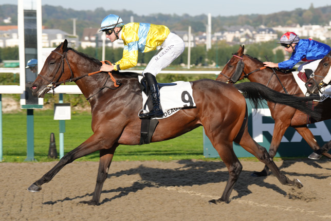 Photo d'arrivée de la course pmu PRIX DU PEVELE à DEAUVILLE le Lundi 5 octobre 2026
