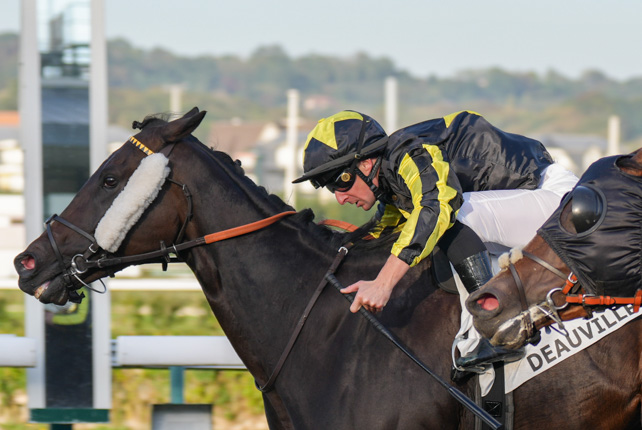Photo d'arrivée de la course pmu PRIX DE L'AVESNOIS à DEAUVILLE le Lundi 5 octobre 2026