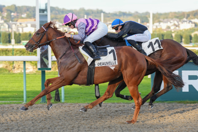 Photo d'arrivée de la course pmu PRIX AU-DELA DES PISTES à DEAUVILLE le Lundi 5 octobre 2026