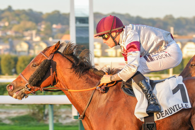 Photo d'arrivée de la course pmu PRIX DE LA SAMBRE à DEAUVILLE le Lundi 5 octobre 2026