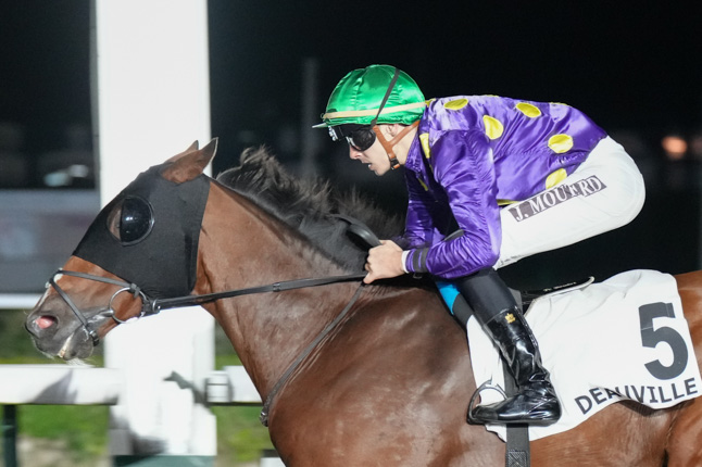 Photo d'arrivée de la course pmu PRIX DES WEPPES à DEAUVILLE le Lundi 5 octobre 2026