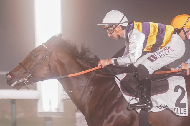 Photo d'arrivée de la course pmu PRIX DU CAMBRESIS à DEAUVILLE le Lundi 5 octobre 2026