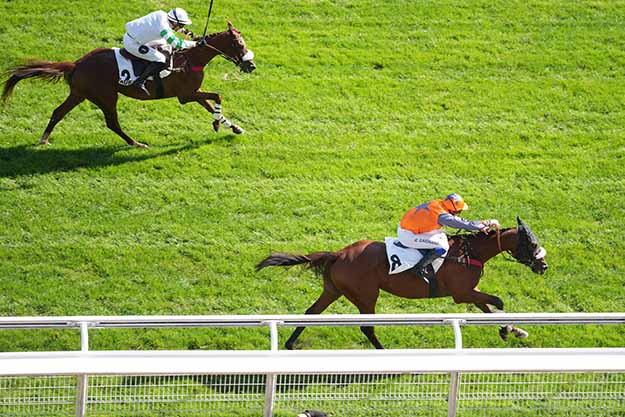 Arrivée quinté pmu PRIX GUILLAUME DE PRACOMTAL à AUTEUIL