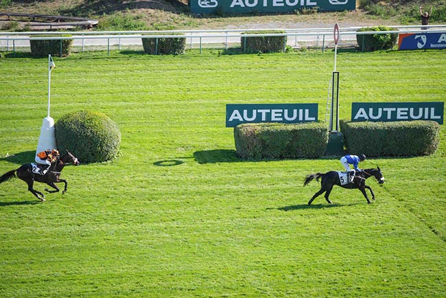 Photo d'arrivée de la course pmu PRIX PIERRE ET JEAN-MARIE MERCIER à AUTEUIL le Mardi 6 octobre 2026